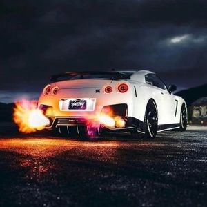 Meet your Posher, Zander